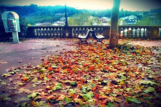 22712141_2006474136275880_7090777994393301617_o